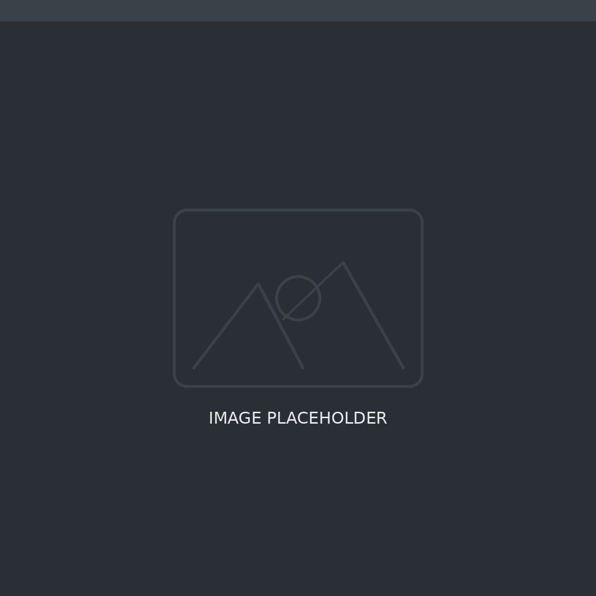 Image placeholder — describe this photo for search engines.